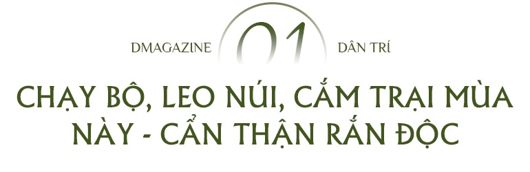 Chạm mặt rắn độc - nỗi lo mùa mưa - 1 Chạm mặt rắn độc - nỗi lo mùa mưa - 1