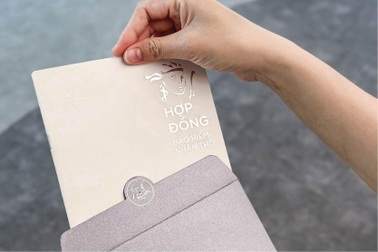 Nắm vốn trên 1% tại 3 ngân hàng lớn, Prudential đang kinh doanh ra sao?