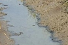 Anh giết em, giấu xác dưới vuông tôm vì mâu thuẫn chuyện chăm sóc mẹ già