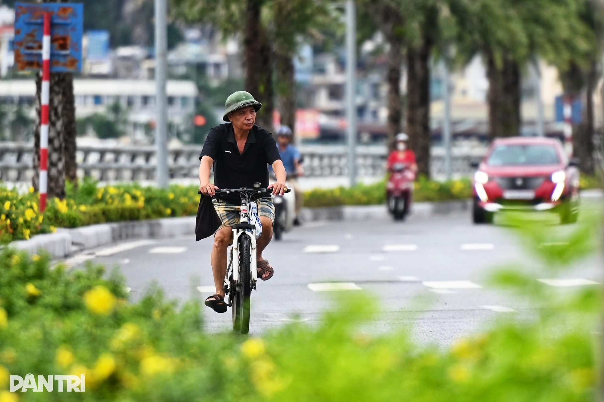 Người dân Hạ Long thở phào khi bão Ragasa suy yếu - 9 Người dân Hạ Long thở phào khi bão Ragasa suy yếu - 9