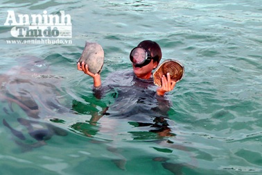 Đổ xô “hôi của” tàu chở đồ cổ bị đắm trên 500 năm