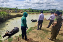 Hai chị em tử vong dưới ao nước gần nhà