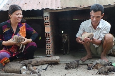 Bỏ công khai hoang đất hàng chục năm, "chết sững" khi nhận quyết định thu hồi