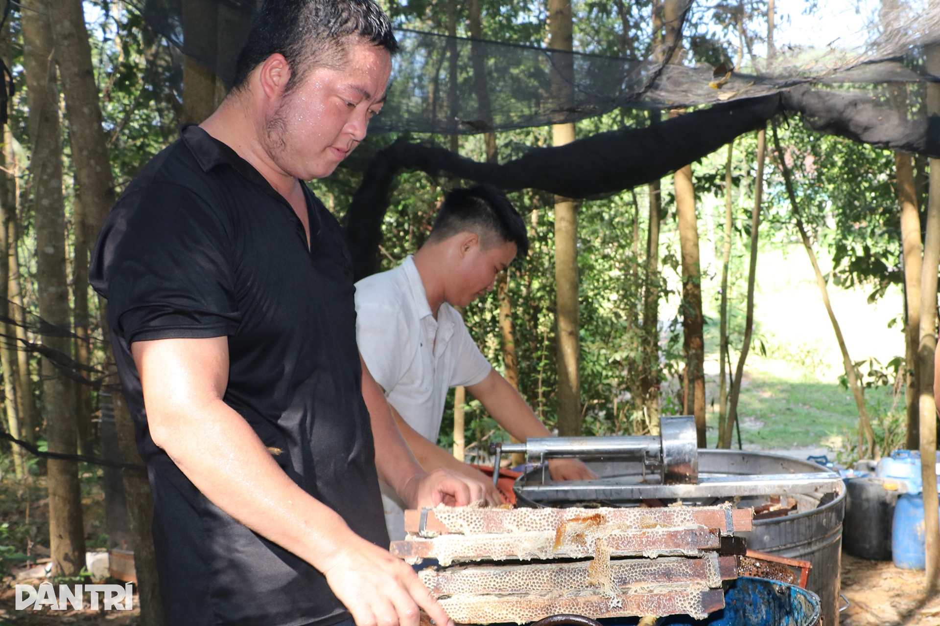 Ăn theo mùa ong làm mật, lao động thời vụ kiếm 250.000 đồng trong 4 tiếng - 10 Ăn theo mùa ong làm mật, lao động thời vụ kiếm 250.000 đồng trong 4 tiếng - 10
