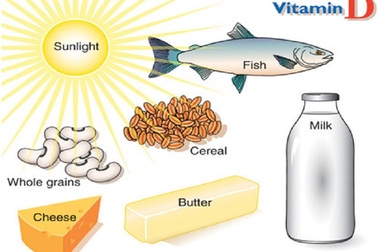 Tăng lượng vitamin D hoạt tính có thể giúp cơ bắp khỏe mạnh, săn chắc