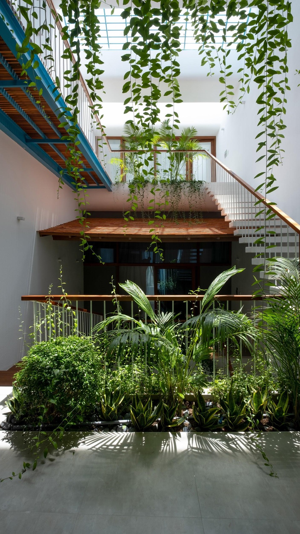 “Khu rừng nhiệt đới” nằm ẩn trong nhà phố khiến ai bước vào cũng trầm trồ - 2