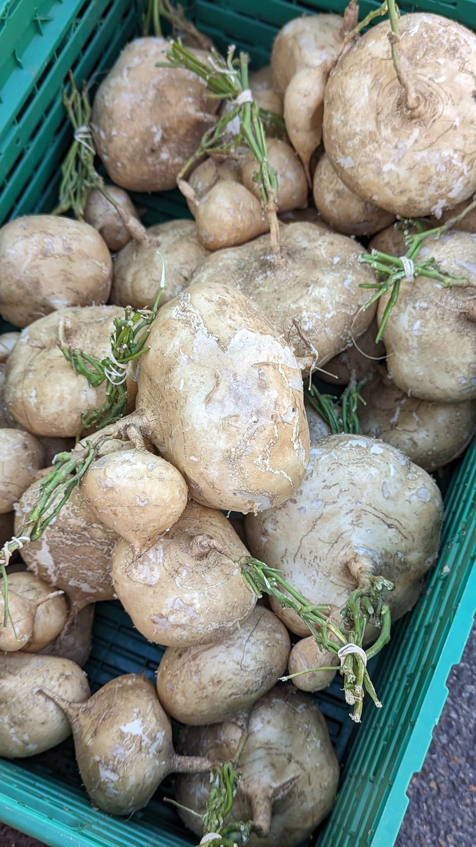 Châu Âu đắt đỏ, mẹ Việt trổ tài nấu cơm chưa đến 200.000 đồng cho 3 người - 8 Châu Âu đắt đỏ, mẹ Việt trổ tài nấu cơm chưa đến 200.000 đồng cho 3 người - 8