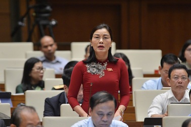 Bộ trưởng nêu thành tích giữ rừng, đại biểu Quốc hội dẫn chứng phá rừng