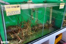 22 người ăn hải sản hết 42 triệu đồng: Các tài xế nói về "hoa hồng"