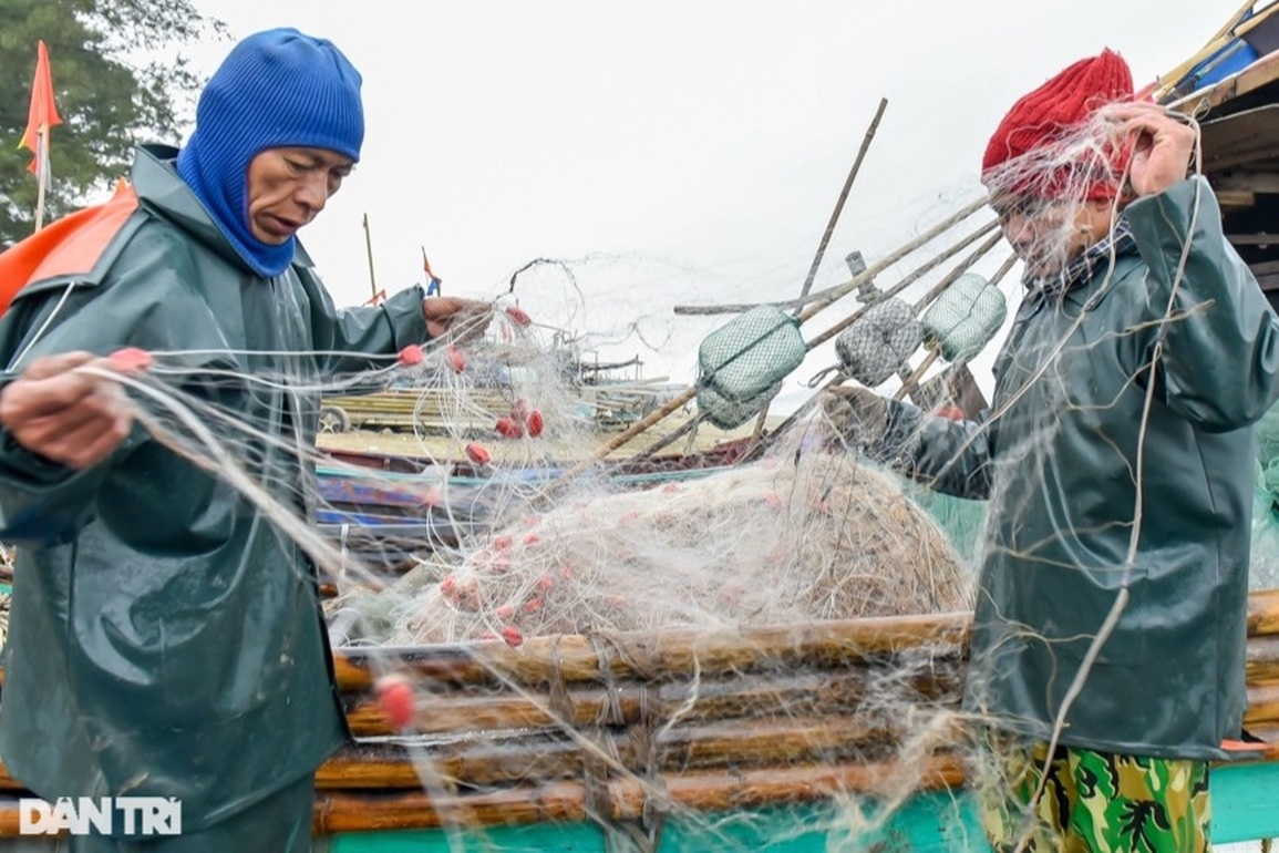 Giữa mùa biển lặng: Chủ tàu đỏ mắt tìm lao động ra khơi - 2 Giữa mùa biển lặng: Chủ tàu đỏ mắt tìm lao động ra khơi - 2