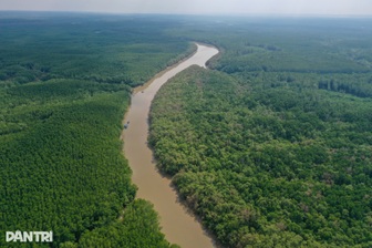 Giữ rừng, để không “rưng rưng nước mắt”