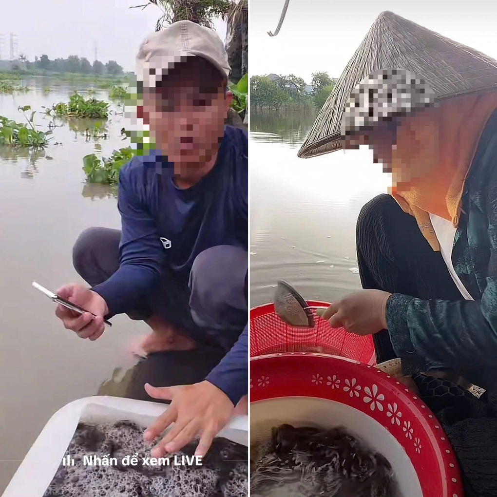 Xem livestream thả cá để phóng sinh: Tiện lợi hay biến tướng? - 1 Xem livestream thả cá để phóng sinh: Tiện lợi hay biến tướng? - 1