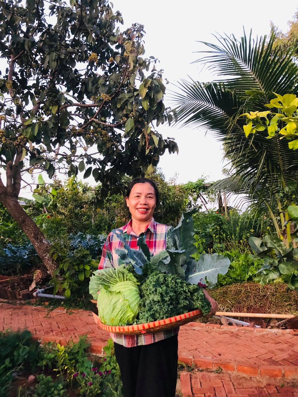 Ấn tượng nhà vườn xinh đẹp, xanh mát trong rẫy cà phê của gia đình Đắk Lắk - 8 Ấn tượng nhà vườn xinh đẹp, xanh mát trong rẫy cà phê của gia đình Đắk Lắk - 8