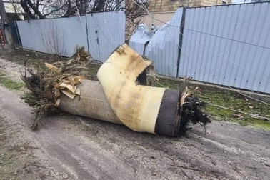 Lá chắn của Ukraine có thể bắn rơi tên lửa siêu vượt âm Nga Zircon