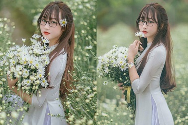 Cô giáo tiểu học dịu dàng khoe sắc bên hoa cúc họa mi