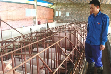 Những ông chủ trẻ khởi nghiệp từ nghề nông