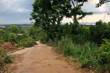 Bất động sản vùng ven bớt chộn rộn