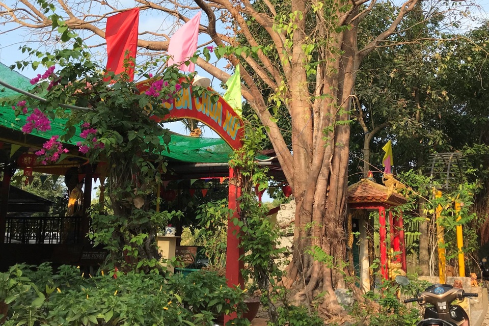 Khởi tố đối tượng cướp tài sản tại miếu Bà Chúa Xứ ở Cà Mau - 1 Khởi tố đối tượng cướp tài sản tại miếu Bà Chúa Xứ ở Cà Mau - 1