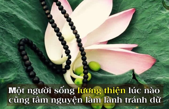 Không có chữ &quot;dỗi&quot; trong tâm thiện - Ảnh 1.