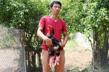 Nông dân biến đồng hoang thành trang trại “đặc sản” tiền tỷ