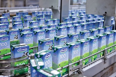 Xuất khẩu sữa Vinamilk tăng trưởng 62% trong 5 năm