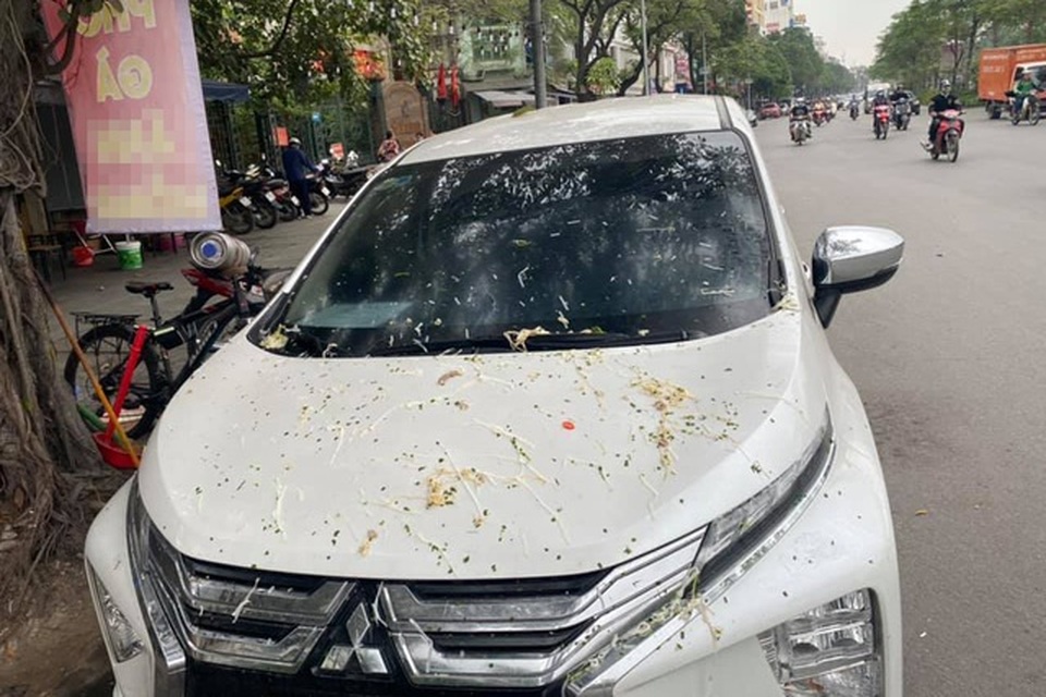 Muôn kiểu dằn mặt ô tô đỗ chắn cửa, chắn đường - 8 Muôn kiểu dằn mặt ô tô đỗ chắn cửa, chắn đường - 8