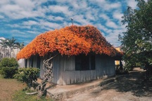 Đã mắt với những ngôi nhà phủ đầy hoa, ngỡ chỉ có trong cổ tích ở Việt Nam