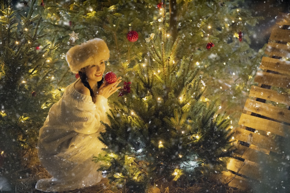 Vườn thông gần 2.000 gốc, khách đổ xô check-in ở Mộc Châu - 7 Vườn thông gần 2.000 gốc, khách đổ xô check-in ở Mộc Châu - 7