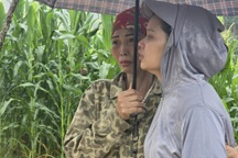 Bộ GD&ĐT yêu cầu miễn giảm học phí cho sinh viên bị ảnh hưởng bão Yagi