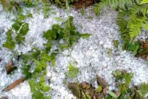 Liên tiếp xảy ra giông lốc, mưa đá, Thanh Hóa hỏa tốc ứng phó