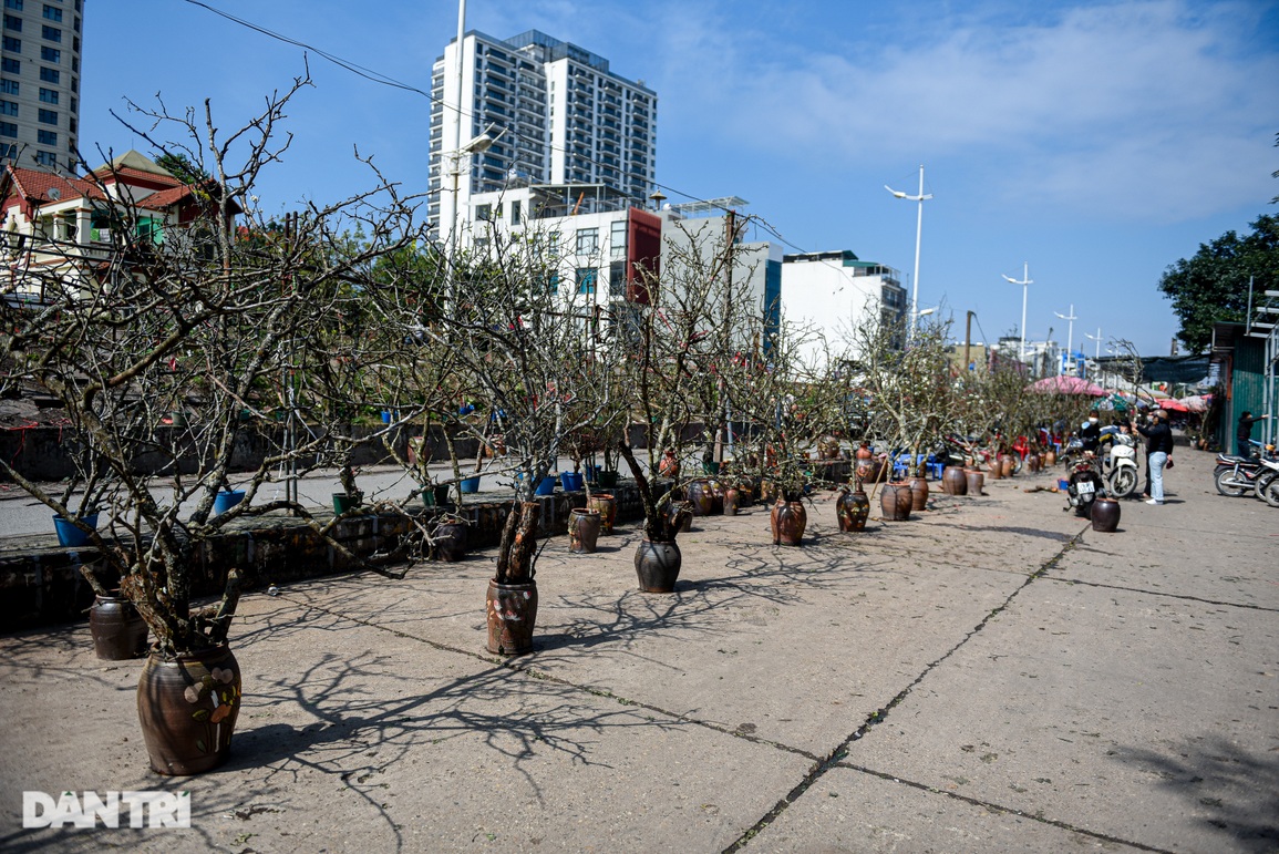 Người Hà Nội Người Hà Nội