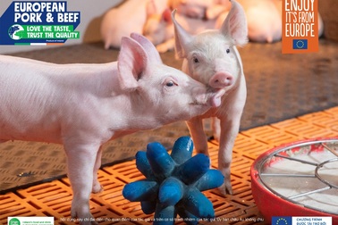 Thịt heo và bò đến từ Châu Âu - "Yêu hương vị, tin vào chất lượng"