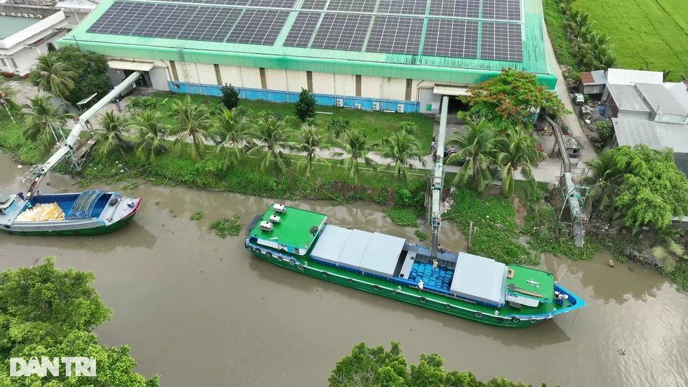 Giá lúa gạo cao nhất 12 năm và bản Nghị quyết đổi đời nông dân - 5 Giá lúa gạo cao nhất 12 năm và bản Nghị quyết đổi đời nông dân - 5