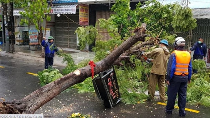 Bão số 8 gây mưa to ở các tỉnh từ Nghệ An đến Thừa Thiên Huế - Ảnh 1.