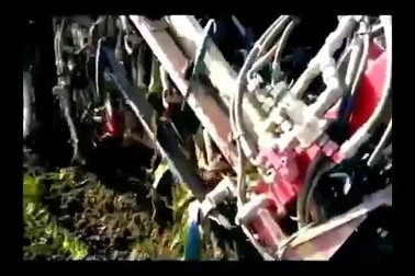 Clip về ứng dụng STEM trong nông nghiệp