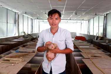 Nuôi con “ăn đêm, ngủ ngày”, vốn ít mà thu về 200 triệu đồng/năm