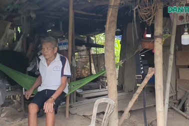 Xót cảnh cụ ông 82 tuổi chống chọi bệnh tật trong túp lều tranh
