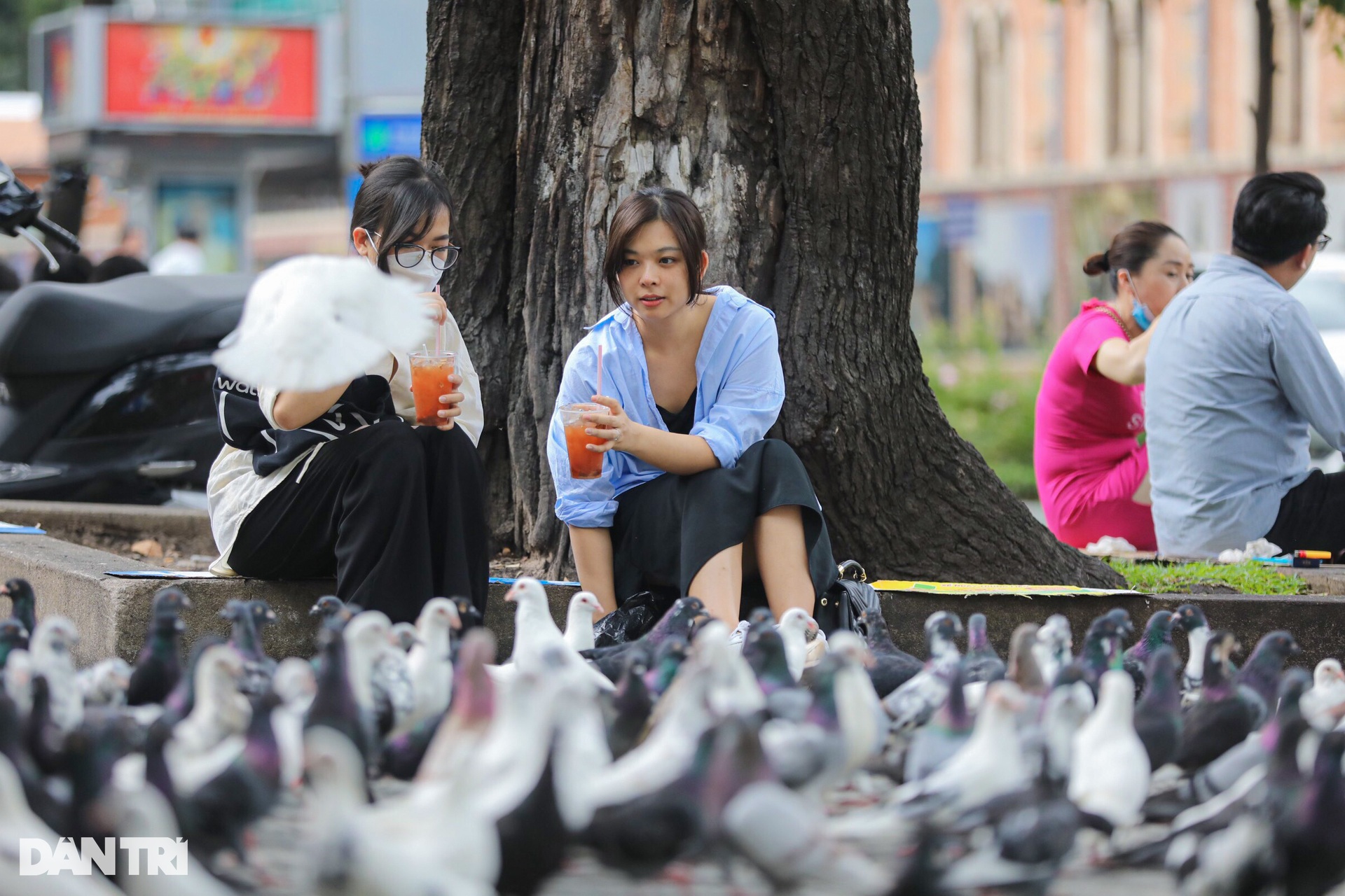 View - TPHCM trong tiết trời se lạnh, mát dịu dịp cuối năm | Báo Dân trí