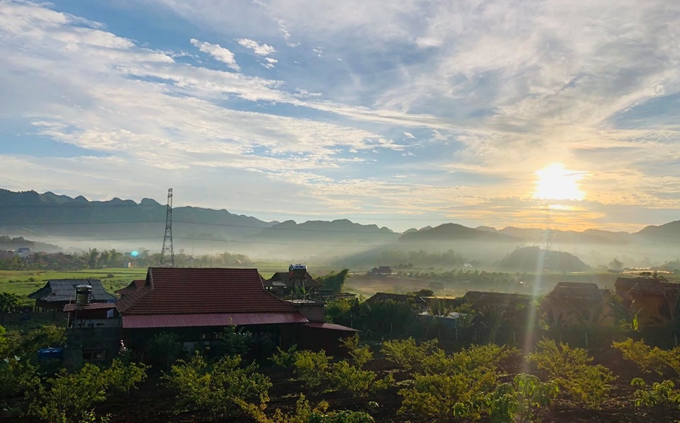 Cặp vợ chồng Hà Nội dành 4 năm cải tạo mảnh đất hoang và cái kết bất ngờ - 3 Cặp vợ chồng Hà Nội dành 4 năm cải tạo mảnh đất hoang và cái kết bất ngờ - 3