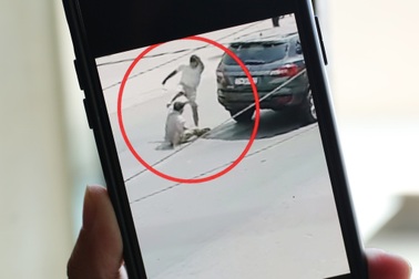 Dấu hiệu nhiều tội danh vụ tài xế đánh chết người sau va chạm giao thông