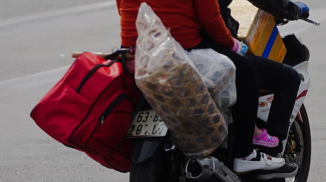 Những đoàn “di dân” cuối cùng rời Sài Gòn trước thời khắc Giao thừa - 4 Những đoàn “di dân” cuối cùng rời Sài Gòn trước thời khắc Giao thừa - 4