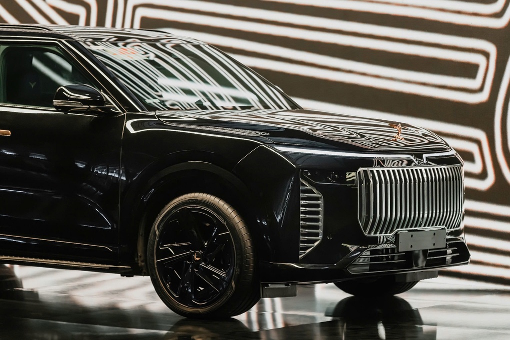 Chất Việt trên mẫu xe Lạc Hồng 900 LX của VinFast - 4