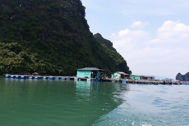 Chi gần 1.700 tỉ đồng để bảo tồn văn hóa làng chài trên Vịnh Hạ Long