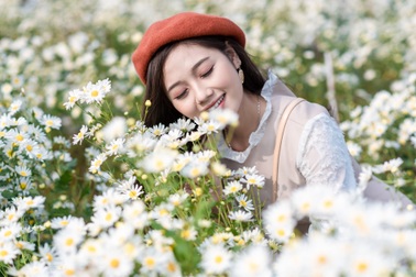 Thiếu nữ Hà thành duyên dáng bên cúc hoạ mi đầu mùa