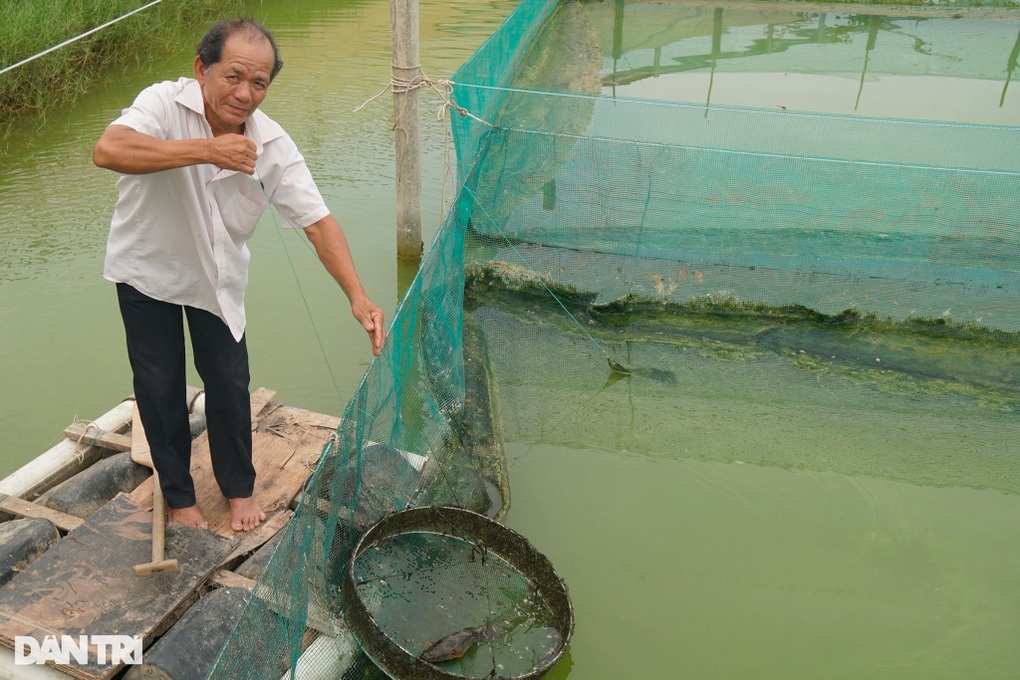 Nuôi cá chình bông ở đầm Trà Ổ: Mô hình sinh thái, hiệu quả