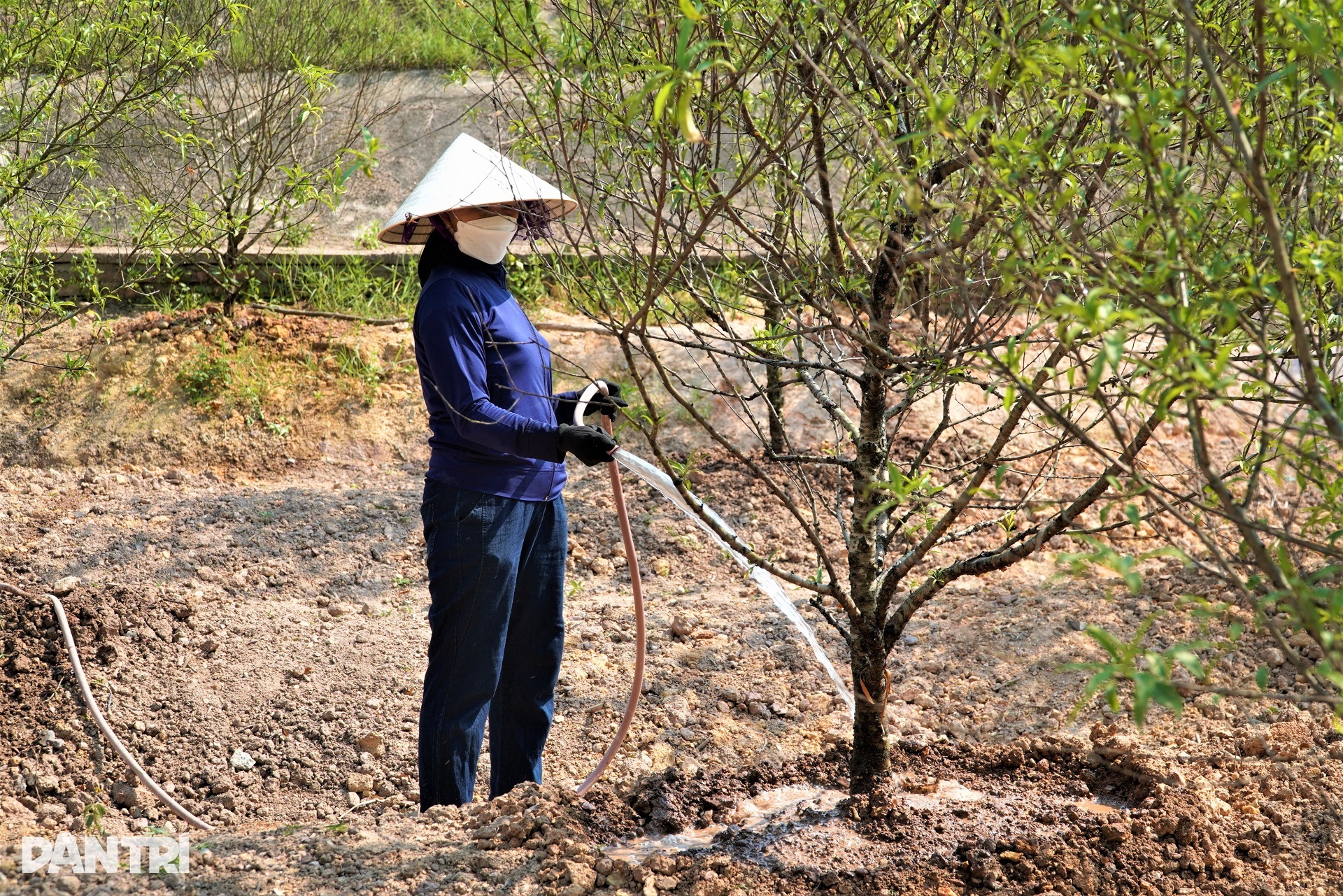 Quần thể khu di tích cố Tổng Bí thư Hà Huy Tập mang diện mạo mới - 5