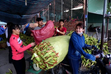 Bên trong chợ bắp lớn nhất Sài Gòn