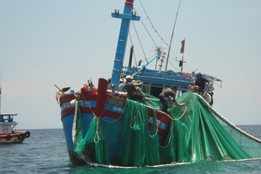 Nghề lưới cào đang tận diệt hải sản ven đảo Lý Sơn