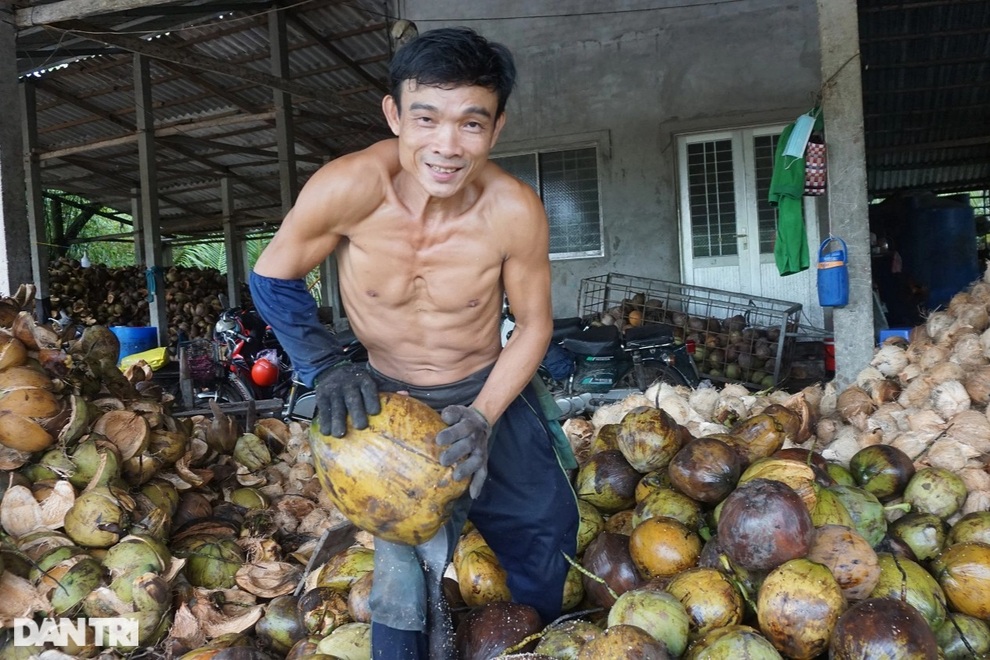 Cả chục công đoạn làm ra món cơm dừa trắng ngần ngọt lịm đặc sản Bến Tre - 1 Cả chục công đoạn làm ra món cơm dừa trắng ngần ngọt lịm đặc sản Bến Tre - 1