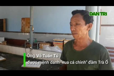 Lão ngư đất võ Bình Định đổi đời nhờ nuôi loài cá “tiến vua”